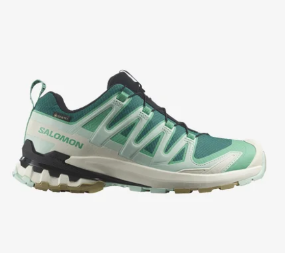 Salomon XA PRO 3D v9 GTX® W - Trekking- und Outdoorschuhe für Damen 